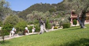 monnaber_horse1 - monnaber horse1 - Hotel Rural Mallorca Monnaber Nou