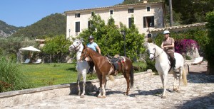 monnaber_horse3 - monnaber horse3 - Hotel Rural Mallorca Monnaber Nou