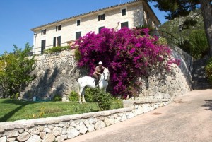 riding school - riding school - Hotel Rural Monnaber Nou Mallorca