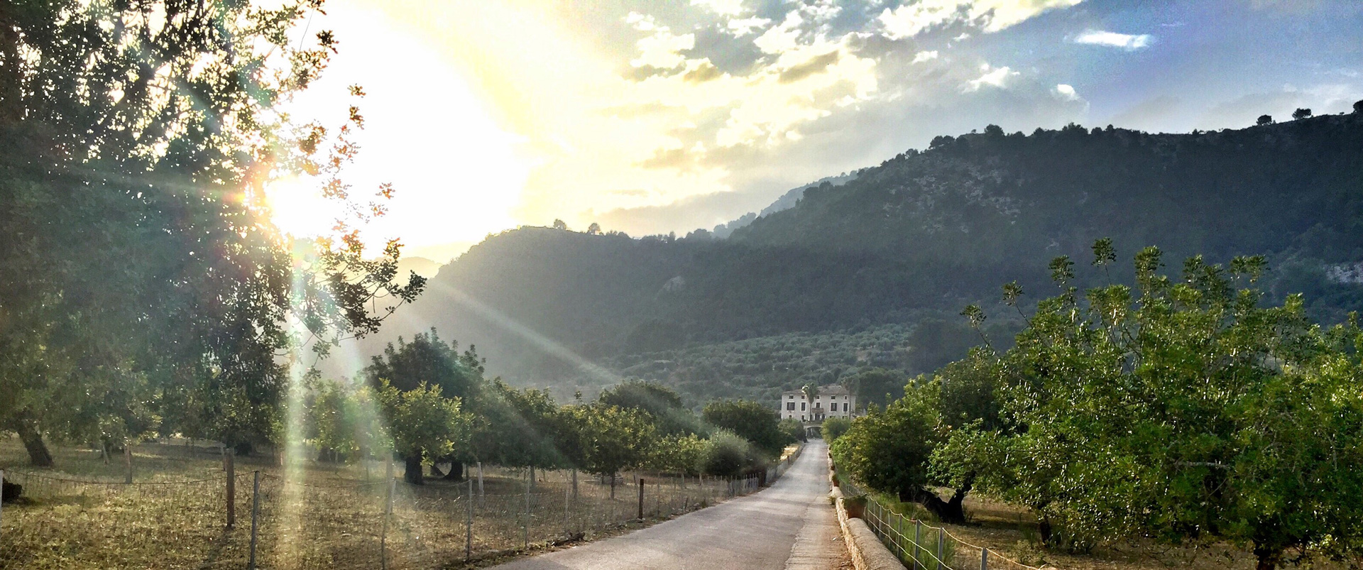 ECOLOGICAL HOTEL - monnaber nou atardecer finca quienes somos - Hotel Rural Monnaber Nou Mallorca