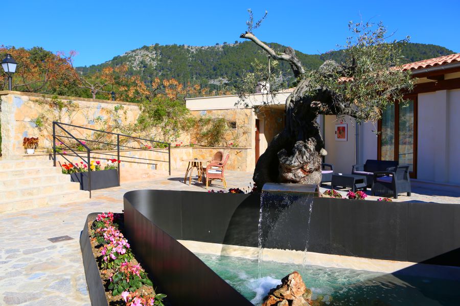 SPRING IS ALREADY HERE - POST - Hotel Rural Monnaber Nou Mallorca