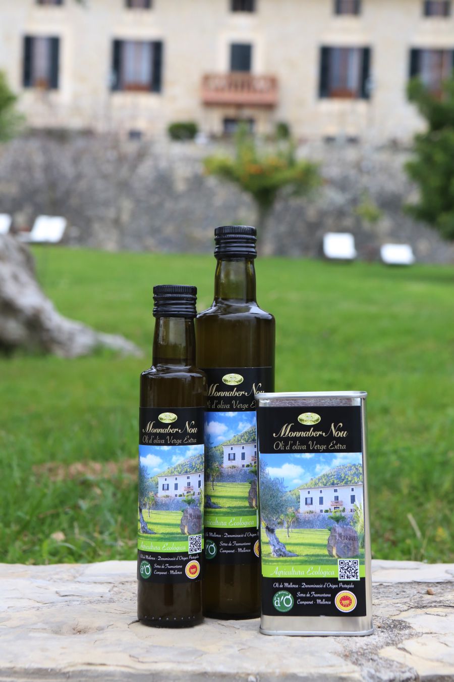 Ecological olive oil - 0S1A9694 - Hotel Rural Monnaber Nou Mallorca