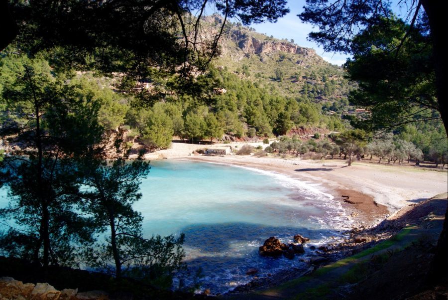 BEACHES - portada esdeveniment cala tuent e1560148115104 - Hotel Rural Monnaber Nou Mallorca