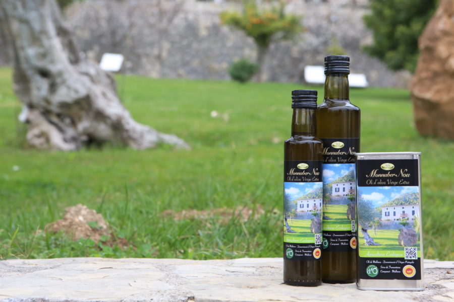 Olive oil from Monnaber Nou - 0S1A9697 e1560148803163 - Hotel Rural Monnaber Nou Mallorca