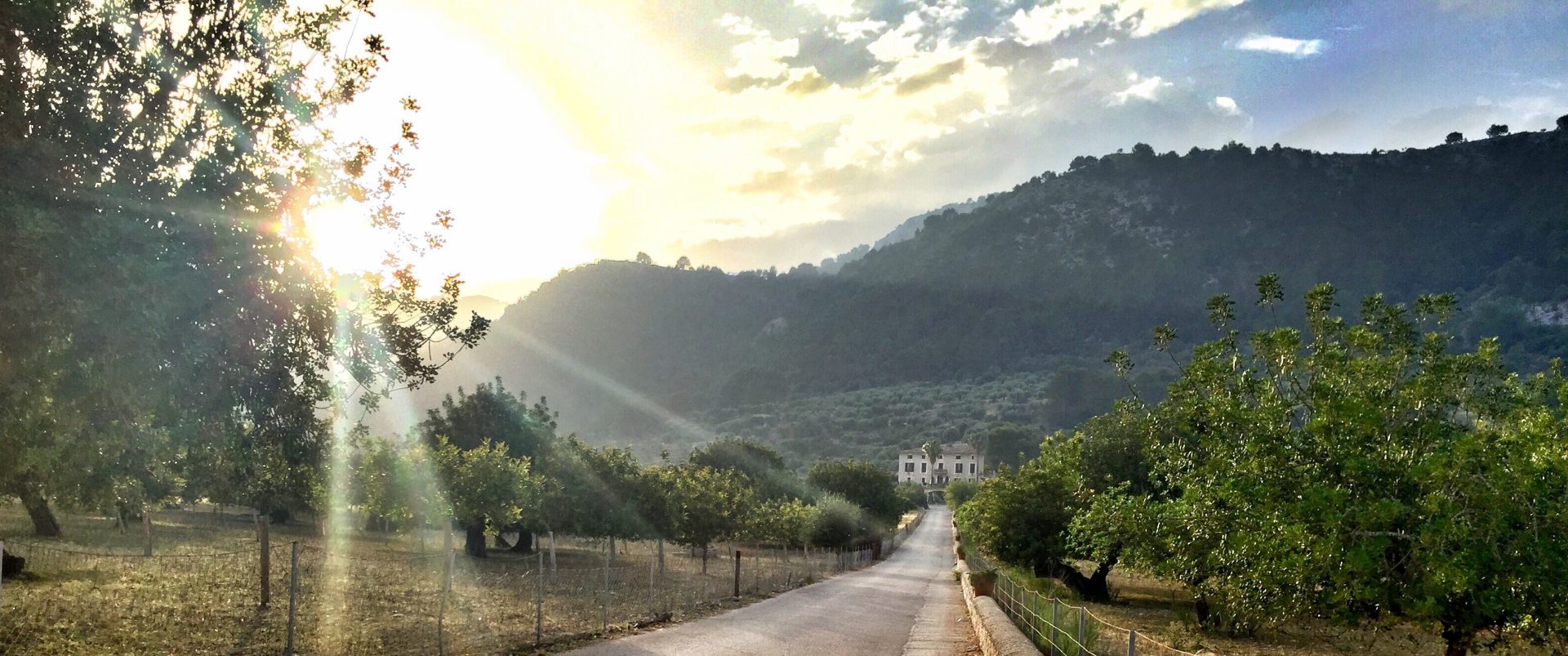 Disfrute del invierno con la experiencia de la naturaleza de Mallorca! - atardecer monnaber - Hotel Rural Mallorca Monnaber Nou