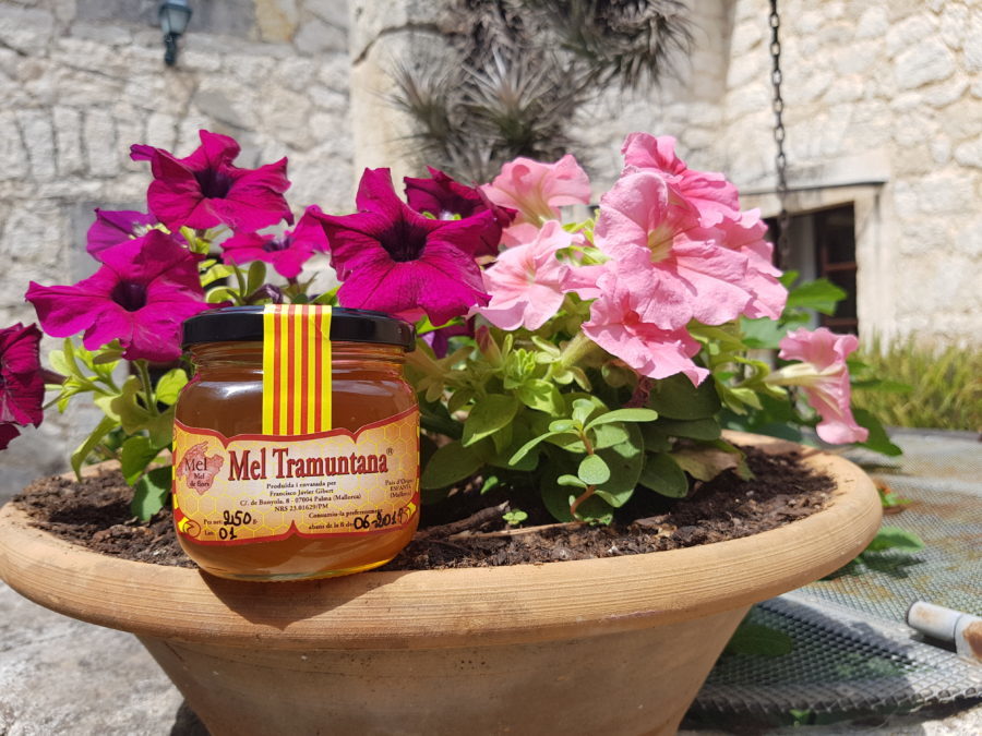 Tramuntana honey - 20170721 120617 e1560149052800 - Hotel Rural Monnaber Nou Mallorca