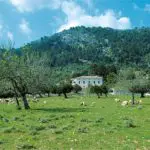 Galería de Fotos - FotoHotel - Hotel Rural Mallorca Monnaber Nou