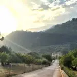 Galería de Fotos - atardecer monnaber - Hotel Rural Mallorca Monnaber Nou