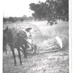 Galería de Fotos - batre monnaber antigua - Hotel Rural Mallorca Monnaber Nou