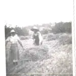 Galería de Fotos - batre monnaber antigua 3 - Hotel Rural Mallorca Monnaber Nou