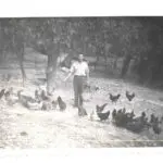 Galería de Fotos - camp monnaber antigua 3 - Hotel Rural Mallorca Monnaber Nou