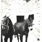 Galería de Fotos - clastra monnaber antigua 3 - Hotel Rural Mallorca Monnaber Nou