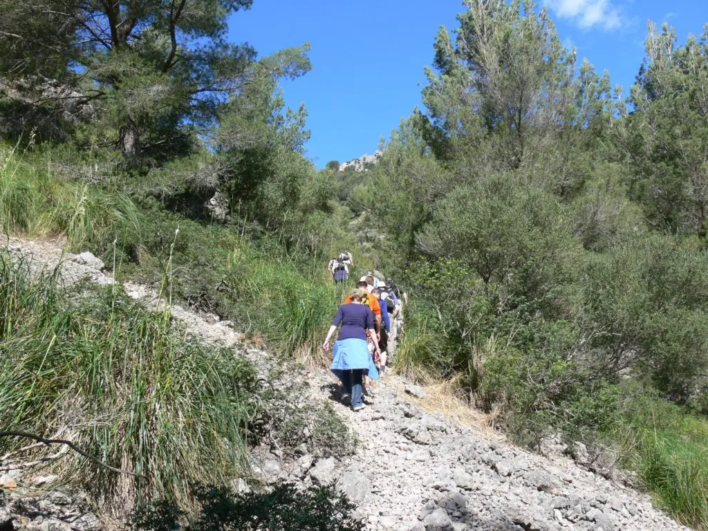 Route Binibona - P1000280web - Hotel Rural Monnaber Nou Mallorca