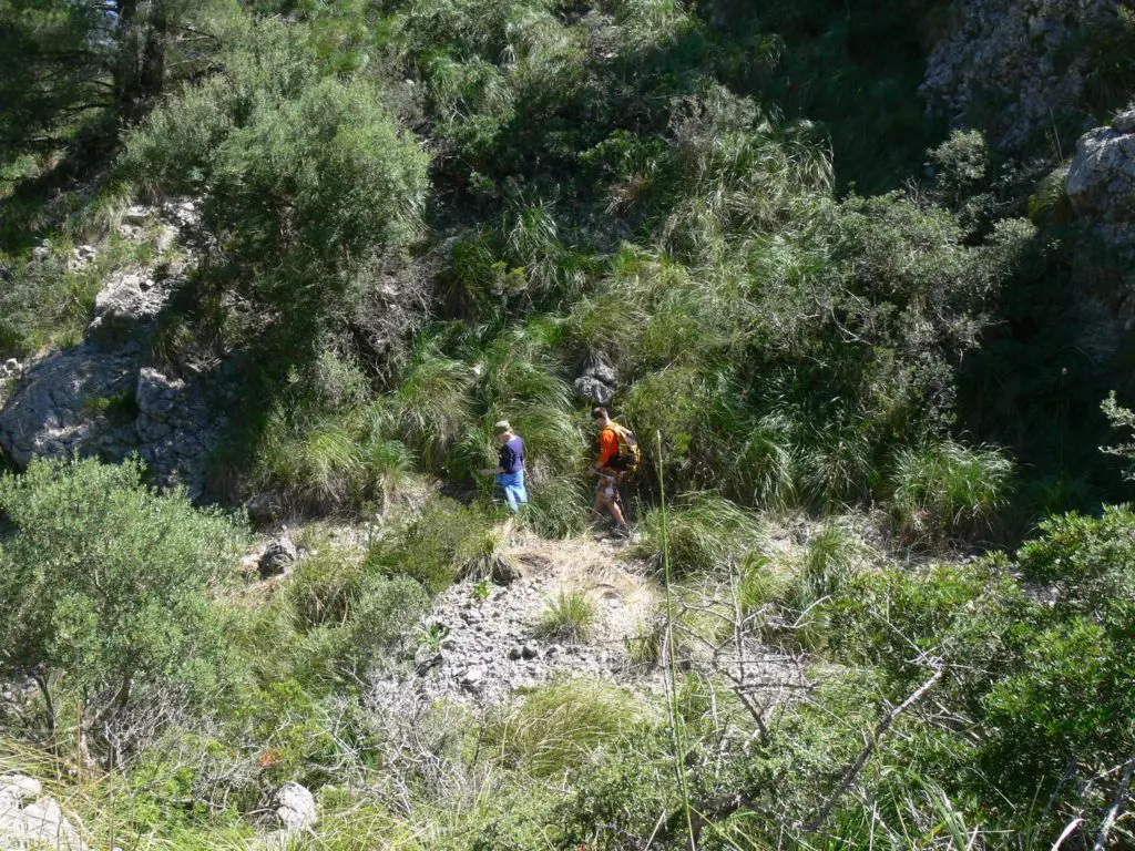 Route Binibona - P1000337web - Hotel Rural Monnaber Nou Mallorca