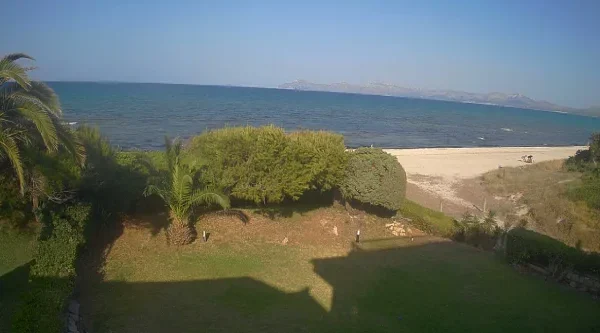 ▶ Live Webcams