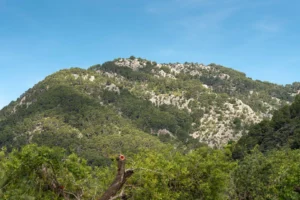 finca-monnaber-nou-29 - finca monnaber nou 29 - Hotel Rural Monnaber Nou Mallorca