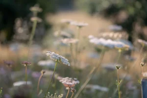 finca-monnaber-nou-5 - finca monnaber nou 5 - Hotel Rural Monnaber Nou Mallorca