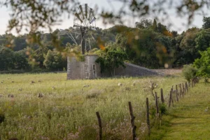 finca-monnaber-nou-6 - finca monnaber nou 6 - Hotel Rural Monnaber Nou Mallorca