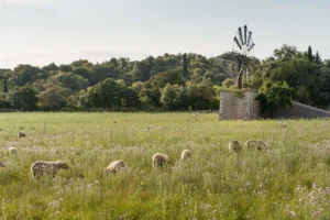 finca-monnaber-nou-9 - finca monnaber nou 9 - Hotel Rural Monnaber Nou Mallorca